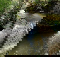 Second Ponds Creek Walk - Local Tourism