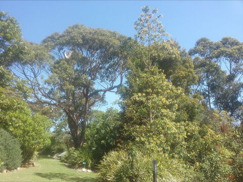 Shoalhaven Heads Native Botanic Garden - Accommodation Australia 1