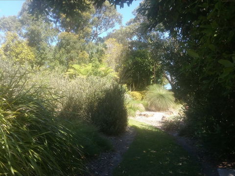 Shoalhaven Heads Native Botanic Garden - Accommodation Australia 2
