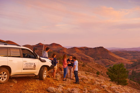 Skytrek - Bed n Breakfasts 0