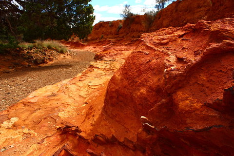 Skytrek - Bed n Breakfasts 1