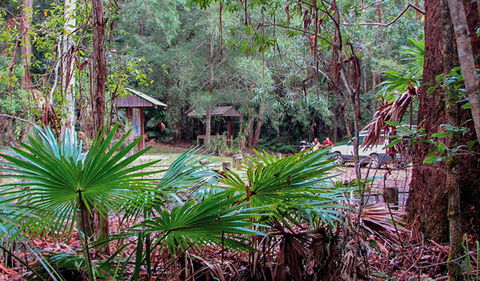 Sugar Creek Picnic Area - Accommodation Australia 0