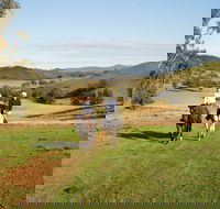 Tamworth and Kootingal Horse Riding Adventures - Accommodation Australia
