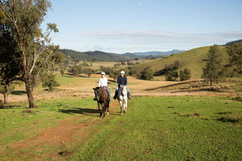 Tamworth And Kootingal Horse Riding Adventures - Local Tourism 0