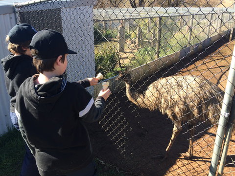 Taralga Wildlife Park - Australia Shopping 2