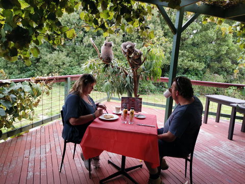 The Aussie Stop Offering Breakfast With Koalas - Local Tourism 0