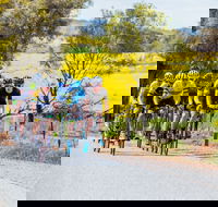 The Heron's Highway - Avon River Cycle Trail - Accommodation Australia