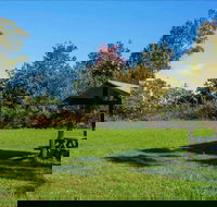 Tunks Hill picnic area - Local Tourism