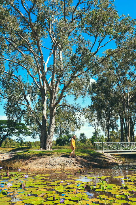 TYTO Wetlands - Accommodation Australia 1