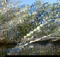 Wongi State Forest - Local Tourism