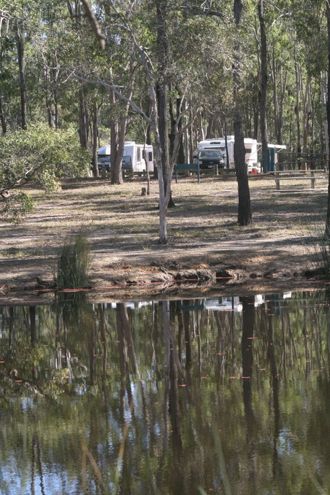 Wongi State Forest - Accommodation Australia 1