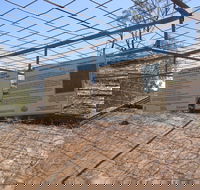 Aboriginal Carvings - Accommodation Australia