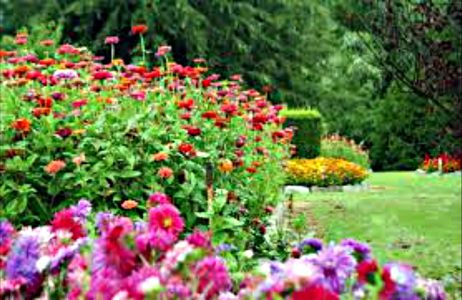Uralla NSW Accommodation Australia
