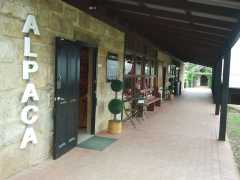 Australian Alpaca Barn - Pokolbin - Local Tourism 0