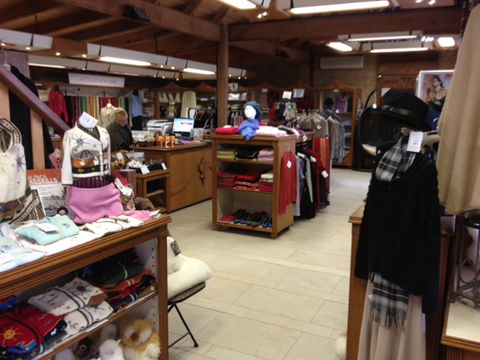 Australian Alpaca Barn - Pokolbin - Local Tourism 1