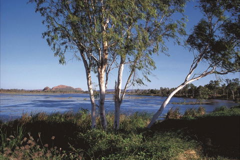Bandicoot Bar - Accommodation Australia 0