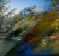 Bargo State Conservation Area - Accommodation Australia