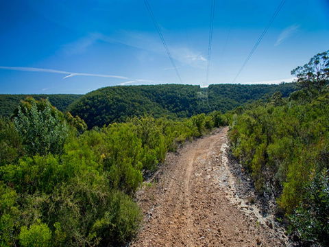 Bargo State Conservation Area - Accommodation Australia 1