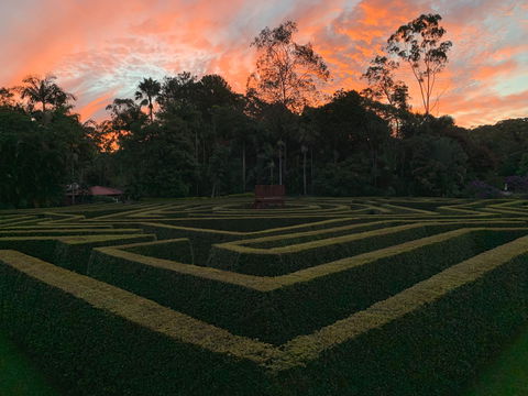 Bellingham Maze - Accommodation Australia 0