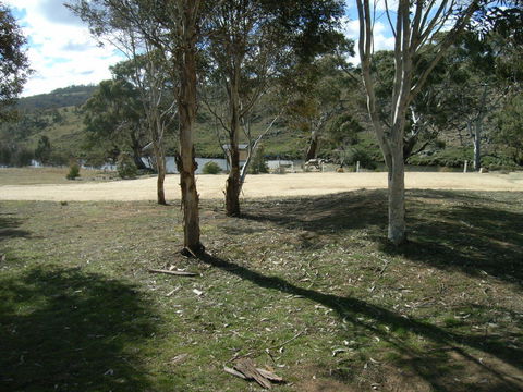 Bombala Platypus Reserve - Accommodation Australia 0