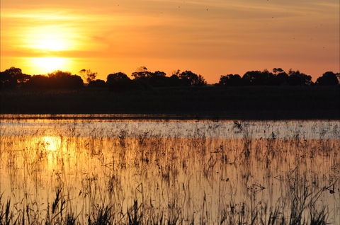 Bool Lagoon Game Reserve And Hacks Lagoon Conservation Park - Australia Shopping 0