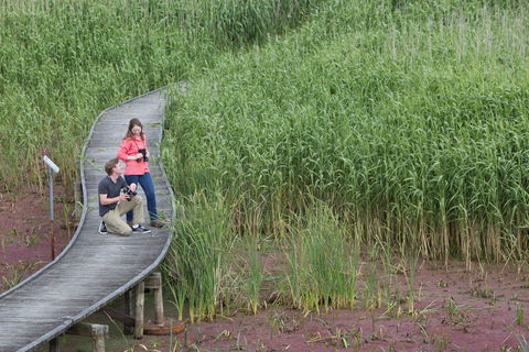 Bool Lagoon Game Reserve And Hacks Lagoon Conservation Park - Australia Shopping 2