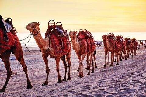 Broome And The Kimberley Coast - Accommodation Australia 0
