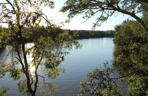 Cattai National Park - Accommodation Australia 0