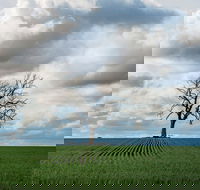 Clare Valley - Accommodation Australia