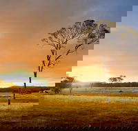 Cooyar - Accommodation Australia