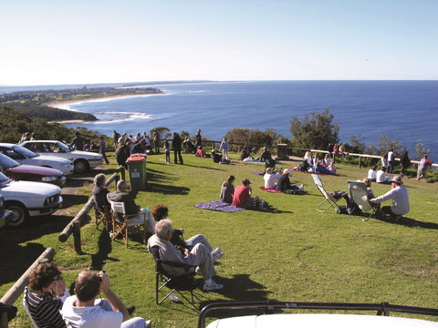 Crackneck Point Lookout - Local Tourism 0