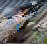 Delta Force Paintball - Accommodation Australia