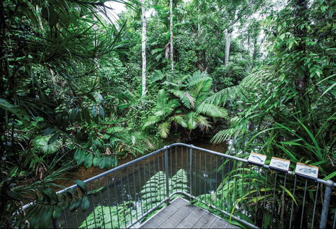 Djiru National Park - Accommodation Australia 1