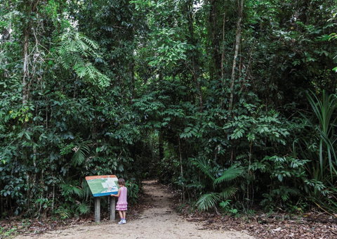 Djiru National Park - Accommodation Australia 2