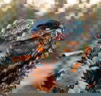 Echuca Paintball Games - Local Tourism