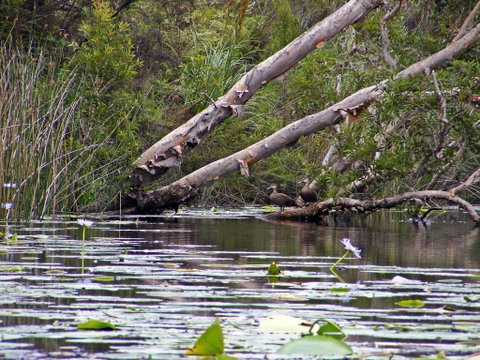 Esk River - Accommodation Australia 1