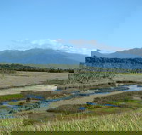 Eubenangee Swamp National Park