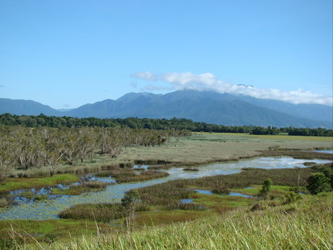 Eubenangee Swamp National Park - Australia Shopping 0