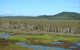 Eubenangee Swamp National Park - thumb 1