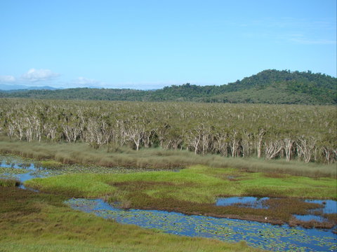 Eubenangee Swamp National Park - Australia Shopping 1