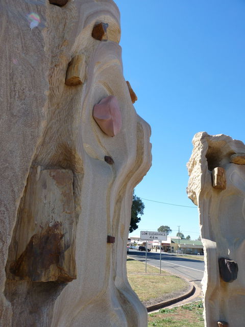Fossilised Forrest Sculptures - Local Tourism 2