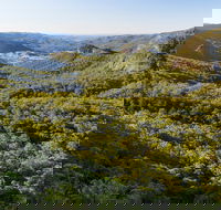 Gold Coast Hinterland Great Walk - Local Tourism