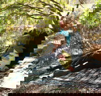 Haig Street Quarry Bushland Reserve Trails - Australia Shopping