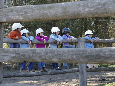 Harlow Park Horse Riding - Accommodation Australia 0