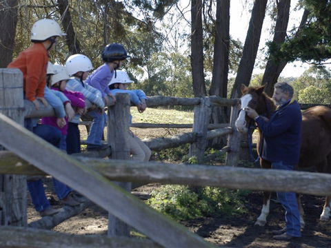 Harlow Park Horse Riding - Accommodation Australia 2