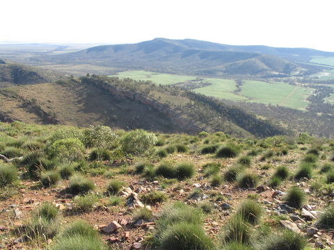 Horseshoe Rim 4WD Adventure Track - Accommodation Australia 0