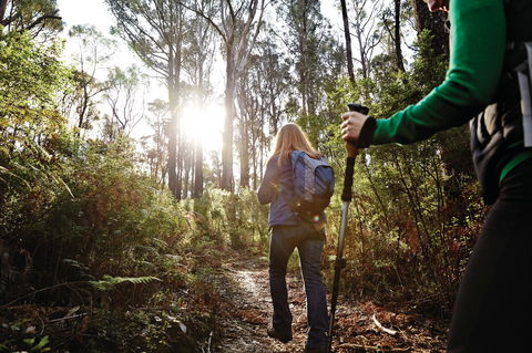 Kinglake National Park - Accommodation Australia 0