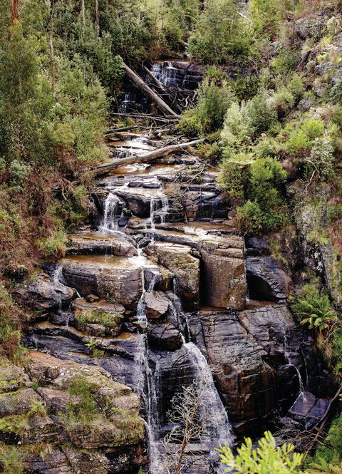 Kinglake National Park - Accommodation Australia 1