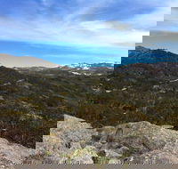 Kosciuszko National Park Charlottes Pass to Snowy River - Accommodation Australia