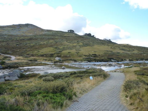 Kosciuszko National Park: Charlottes Pass To Snowy River - Accommodation Australia 2